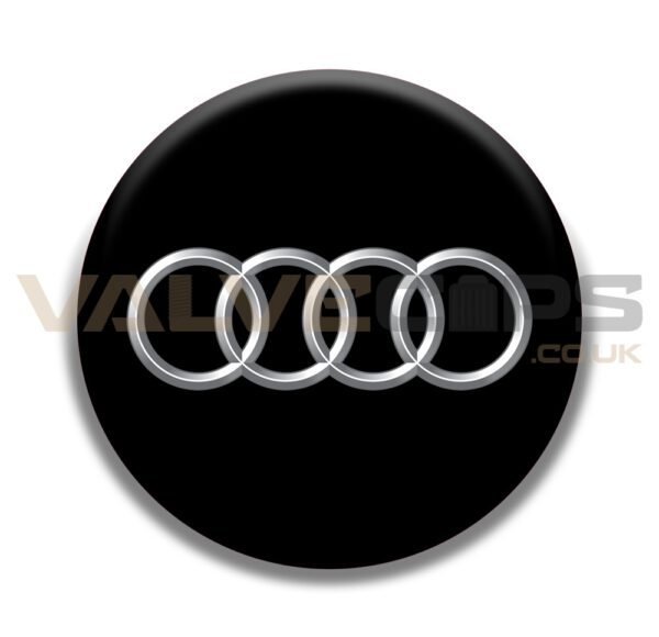 Audi Badge