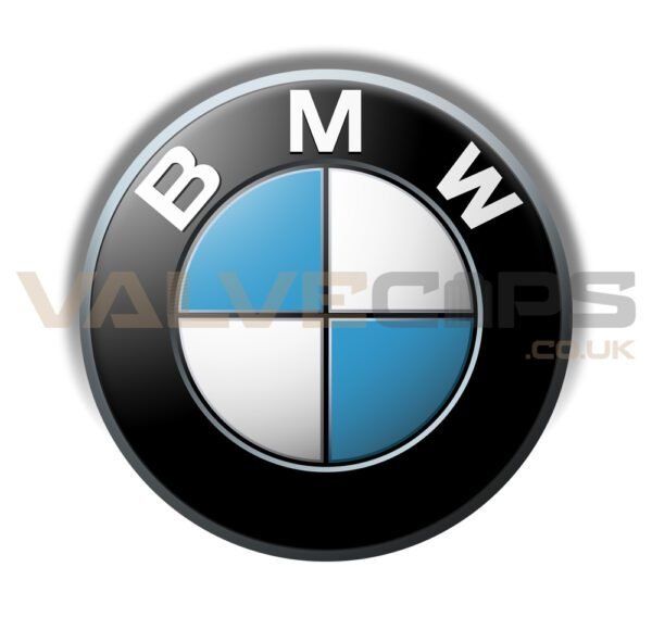 BMW Badge