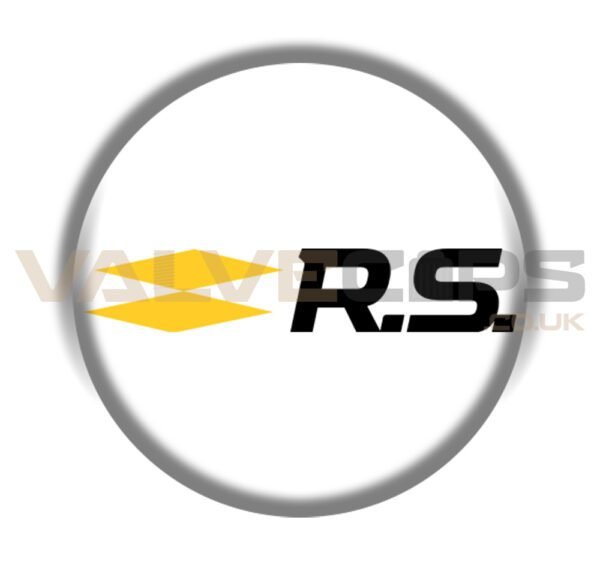 Renault Sport Badge