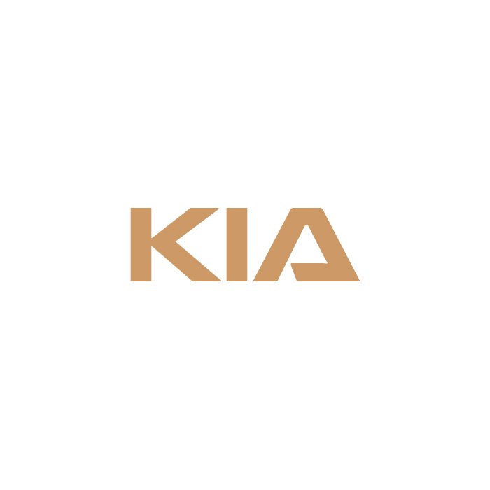 Kia Valve Caps Category Image